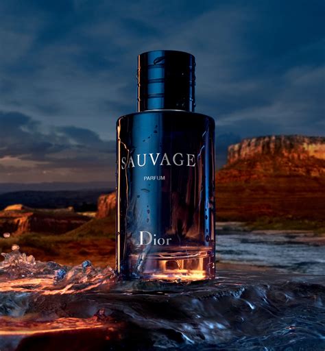 the bay dior savage|sauvage the bay.